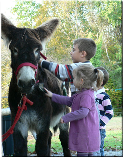 enfants-qui-brossent